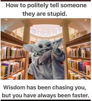 Wisdom has been chasing you.JPG